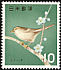 Japanese Bush Warbler Horornis diphone  1964 Japanese birds 