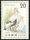 Short-tailed Albatross Phoebastria albatrus  1975 Nature conservation 