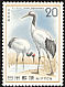 Red-crowned Crane Grus japonensis