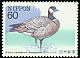 Cackling Goose Branta hutchinsii  1983 Endangered birds 