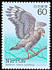 Crested Serpent Eagle Spilornis cheela  1984 Endangered birds 