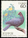 Japanese Wood Pigeon Columba janthina  1984 Endangered birds 