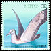 Streaked Shearwater Calonectris leucomelas  1992 Water birds 