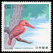 Ruddy Kingfisher Halcyon coromanda  1992 Water birds 