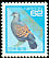 Oriental Turtle Dove Streptopelia orientalis