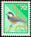 Varied Tit Sittiparus varius  1992 Definitives 