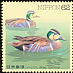 Baikal Teal Sibirionetta formosa  1993 Water birds 