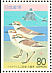 Kentish Plover Charadrius alexandrinus  1994 Kentish Plover and Futamiura beach Booklet