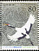 Red-crowned Crane Grus japonensis