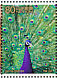 Indian Peafowl Pavo cristatus  2007 Japan-India friendship year 10v sheet