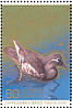 Mandarin Duck Aix galericulata  2008 Japan-China 10v sheet
