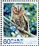 Oriental Scops Owl Otus sunia  2010 Anniversary for local government law (Aichi) 5v sheet