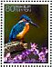 Common Kingfisher Alcedo atthis  2010 International year of biodiversity 10v sheet