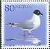 Saunders's Gull Saundersilarus saundersi  2011 Harmony with nature 2x5v sheet