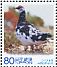 Rock Ptarmigan Lagopus muta  2011 Anniversary for local government law (Toyama) 5v sheet