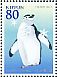 Chinstrap Penguin Pygoscelis antarcticus