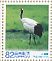 Red-crowned Crane Grus japonensis