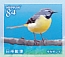 Grey Wagtail Motacilla cinerea  2021 Natural monument Series No.6: Lake Towada and Oirase Gorge 10v sheet, sa