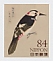 Great Spotted Woodpecker Dendrocopos major  2022 Birds 10v sheet, sa