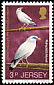 Bali Myna Leucopsar rothschildi  1972 Jersey Wildlife Preservation Trust 4v set