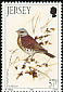 Fieldfare Turdus pilaris