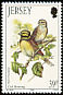 Cirl Bunting Emberiza cirlus  1993 Summer birds 