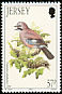 Eurasian Jay Garrulus glandarius