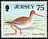 Common Redshank Tringa totanus  1997 Seabirds and waders 