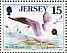 Black-headed Gull Chroicocephalus ridibundus  1997 Seabirds and waders Sheet