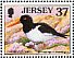 Eurasian Oystercatcher Haematopus ostralegus  1997 Pacific 97 Sheet