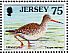 Common Redshank Tringa totanus  1997 Pacific 97 Sheet