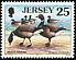 Brant Goose Branta bernicla  1998 Seabirds and waders 