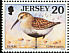 Dunlin Calidris alpina  1998 Imprint 1998 on 1997.01 