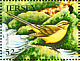 Western Yellow Wagtail Motacilla flava  2008 Migrating birds Sheet