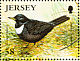 Ring Ouzel Turdus torquatus  2008 Migrating birds Sheet