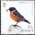 European Stonechat Saxicola rubicola  2018 Links with China 