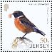 European Stonechat Saxicola rubicola  2018 Links with China Sheet