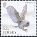 Western Barn Owl Tyto alba  2019 Links with China 6v set