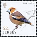 Hawfinch Coccothraustes coccothraustes