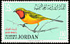 Gorgeous Bushshrike Telophorus viridis  1964 Birds 