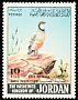 Chukar Partridge Alectoris chukar