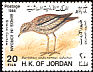 Eurasian Stone-curlew Burhinus oedicnemus