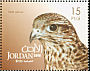 Saker Falcon Falco cherrug