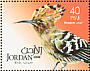 Eurasian Hoopoe Upupa epops