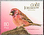 Sinai Rosefinch Carpodacus synoicus  2009 Birds 