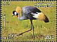 Grey Crowned Crane Balearica regulorum