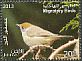 Eurasian Blackcap Sylvia atricapilla  2014 Migratory birds 