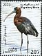 Glossy Ibis Plegadis falcinellus