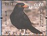 Common Blackbird Turdus merula  2017 Birds native to Jordan Sheet