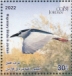 Black-crowned Night Heron Nycticorax nycticorax  2023 Migratory birds Sheet